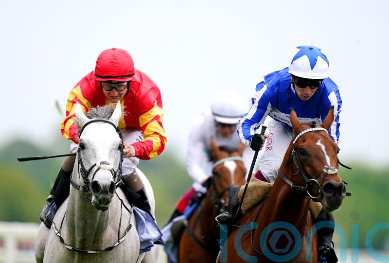 John Murphy dreaming of Derby delight with White Birch