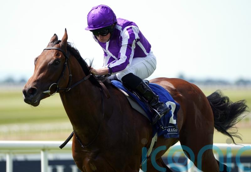 Little Big Bear seeking redemption in Sandy Lane