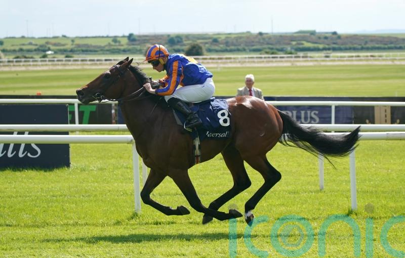 Paddington bears fruit in Irish Guineas