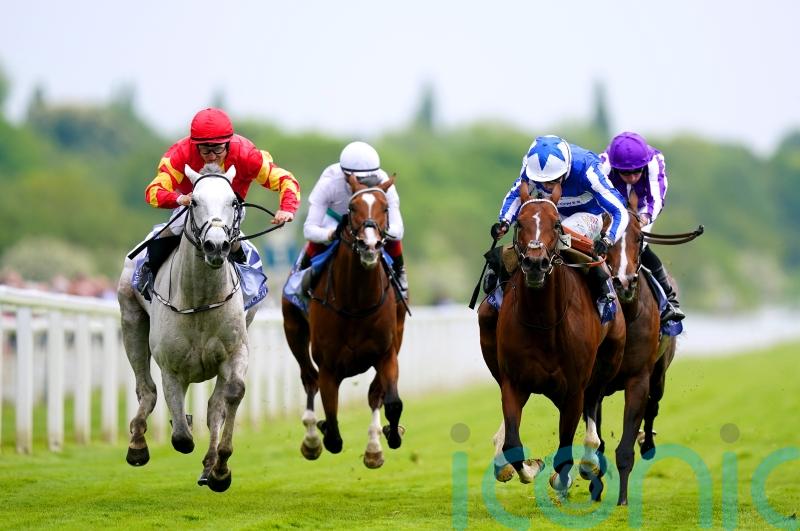 The Foxes would be a poignant Derby winner for Balding and King Power