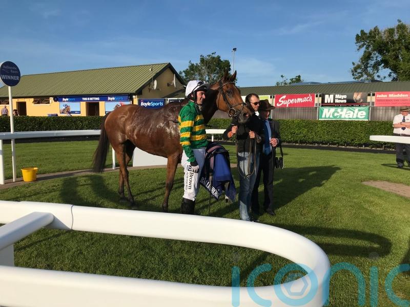 Winning start for Annie Power&rsquo;s first foal Mystical Power