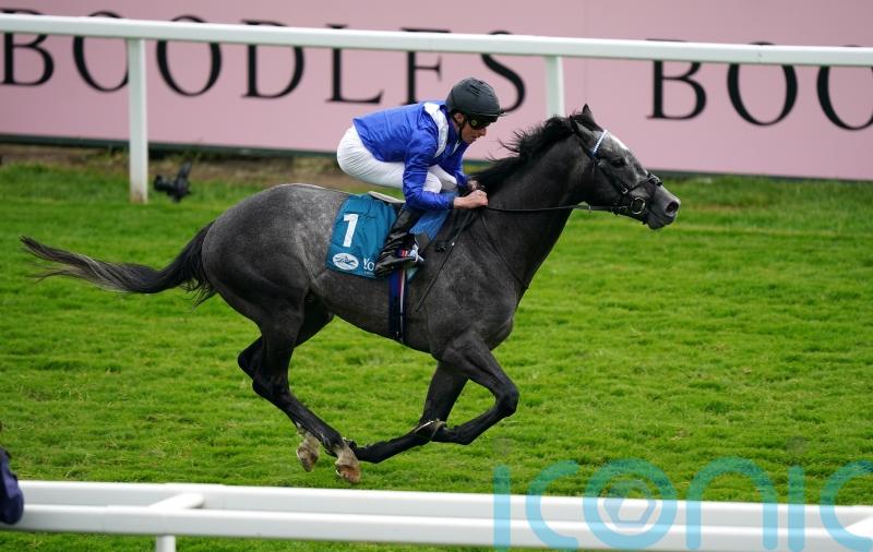 Target for Mostabshir at Royal Ascot not firmed up yet