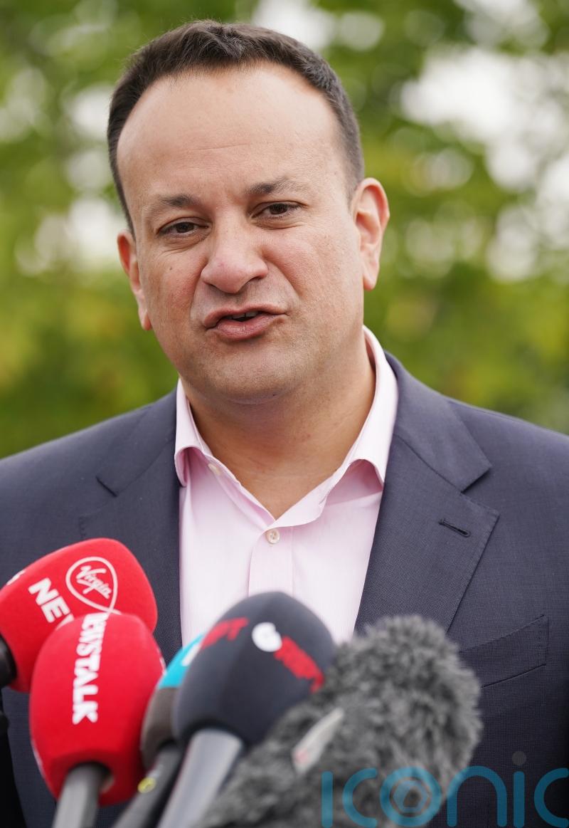 Independent review of abortion laws should not be treated as &lsquo;gospel&rsquo; &ndash; Varadkar