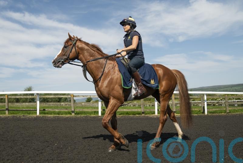 Grand Prix de Paris plans for Dubai Mile following Derby