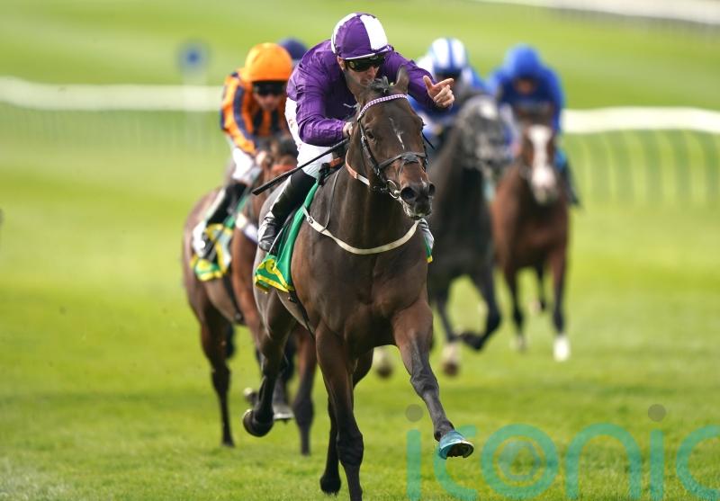 Indestructible will bid to get back on track at Royal Ascot