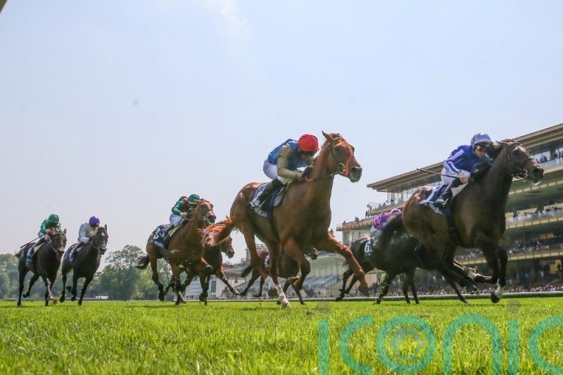 Isaac Shelby on course for red-hot St James&rsquo;s Palace