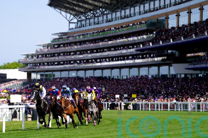 Ascot assessing security plans ahead of Royal meeting