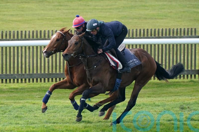 Cicero&rsquo;s Gift makes St James&rsquo;s Palace leap for Hills