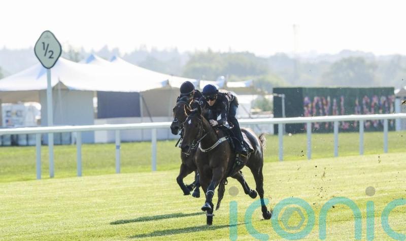 Australian speedsters enjoy a taste of Ascot in the sunshine