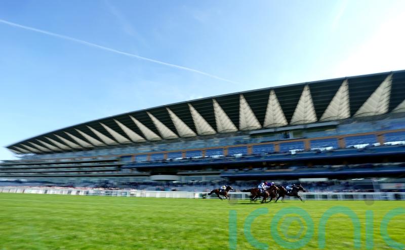 British Horseracing Authority refuses to give in to demands of activists