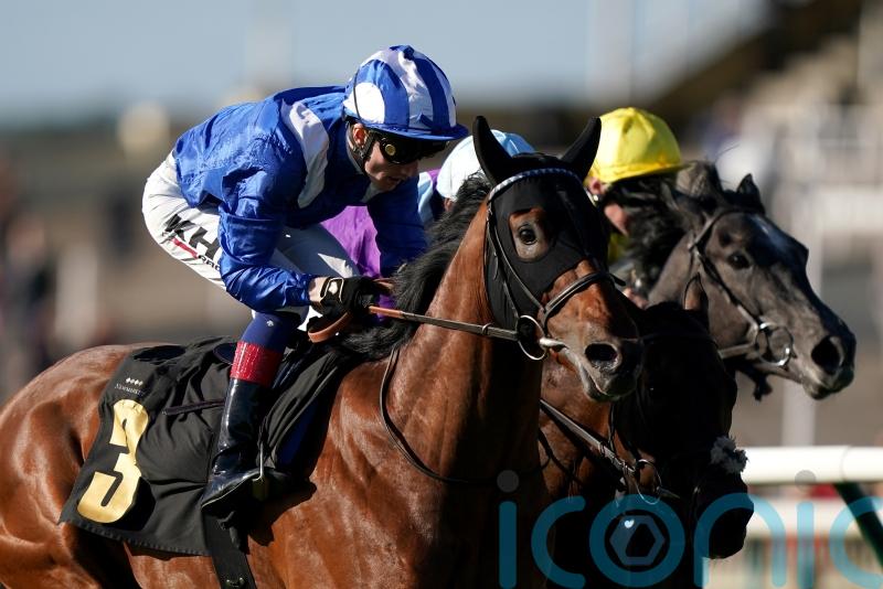 Jersey Stakes consideration for smart prospect Enfjaar