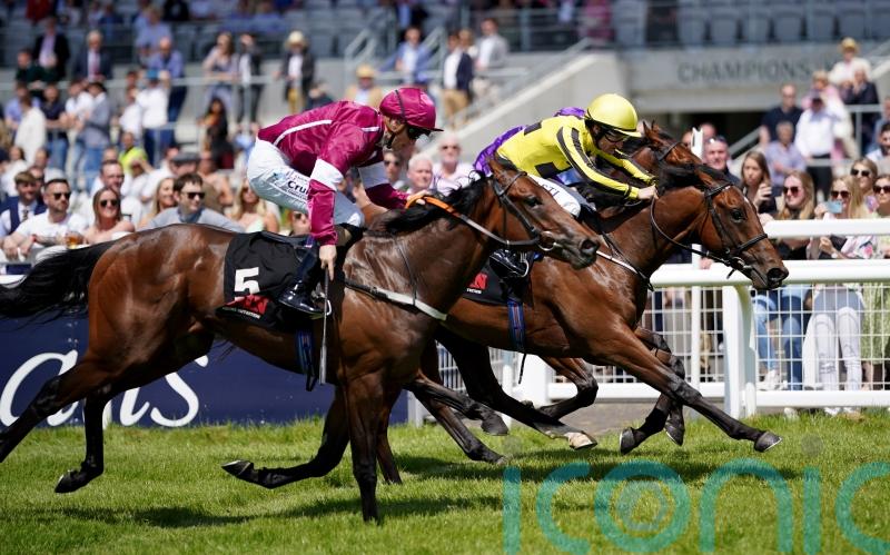 Coventry runner Givemethebeatboys sells for &pound;1.1million