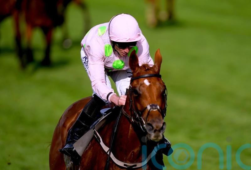 Vauban opens up exciting options with Royal Ascot romp