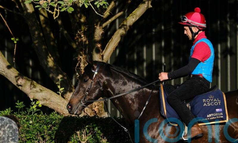 Artorius and Highfield Princess star in cracking weekend sprint feature