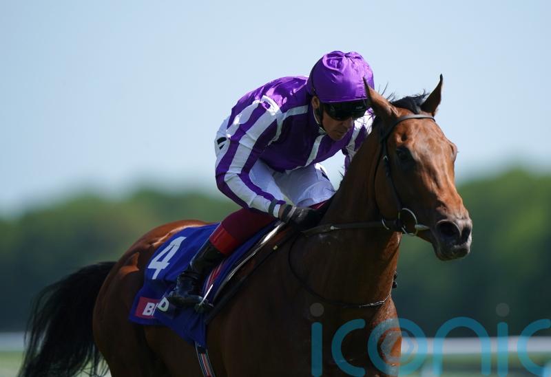 All eyes on Little Big Bear in Commonwealth Cup