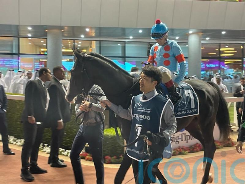 Equinox stars again with striking Takarazuka Kinen verdict