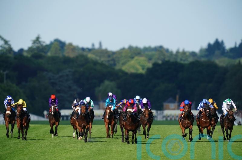 Sangster Inquisitively eyes Goodwood and York prizes