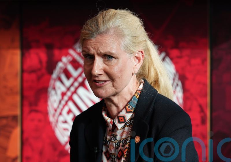 &lsquo;Test plans for Champions League final at Wembley to destruction&rsquo; says FA chair