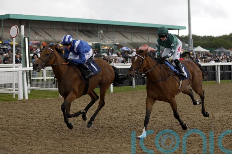 Al Husn denies Nashwa in Hoppings duel