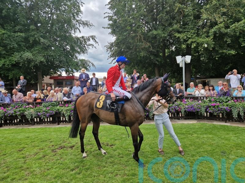 Audience proves captive viewing for Gosden at Newmarket
