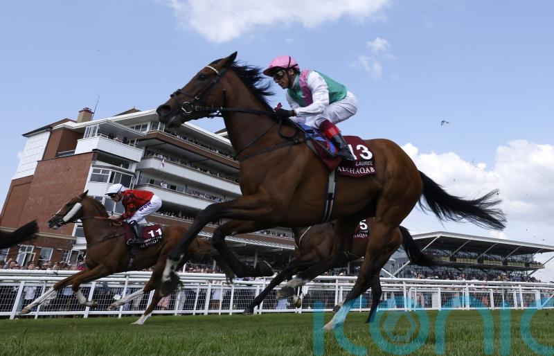 High-class filly Laurel to miss rest of the campaign