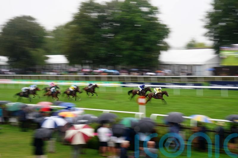 Arabic Legend impresses on debut to earn Guineas quotes