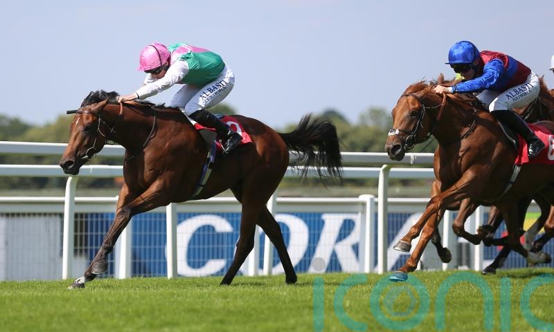 Starlore team harbouring high hopes after Sandown success