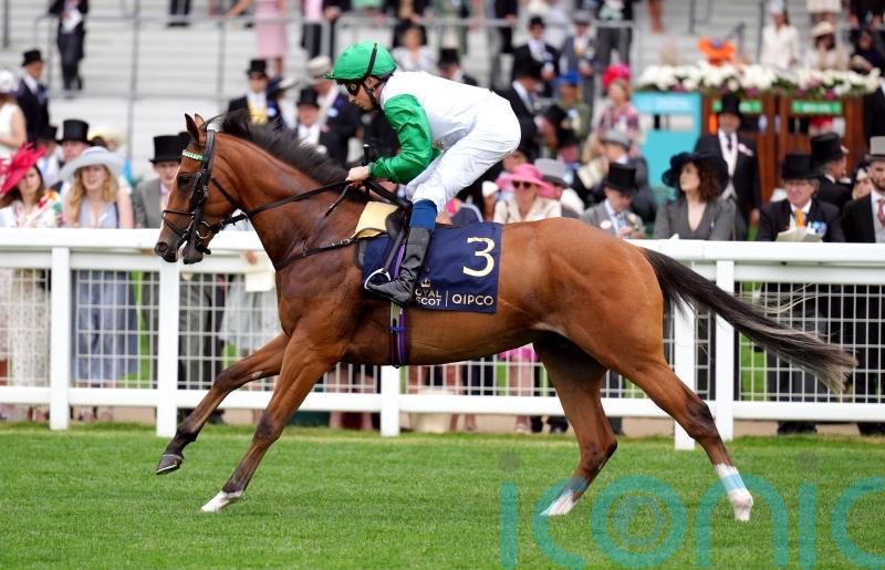 Asadna takes Bowl test on debut for Alice Haynes