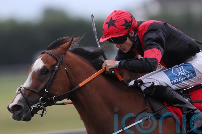 McGuiness lining up sizeable squad for Galway Festival