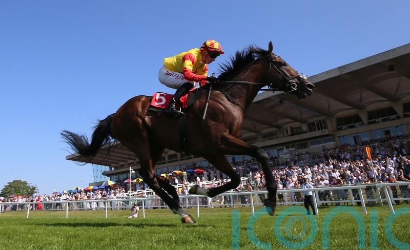 Woods eyeing York Stakes for Savvy Victory