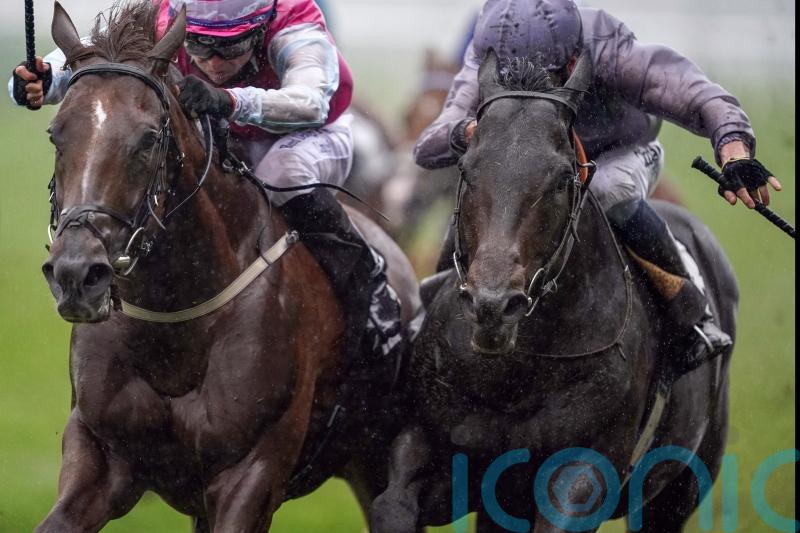 Fresh primed for International defence at Ascot