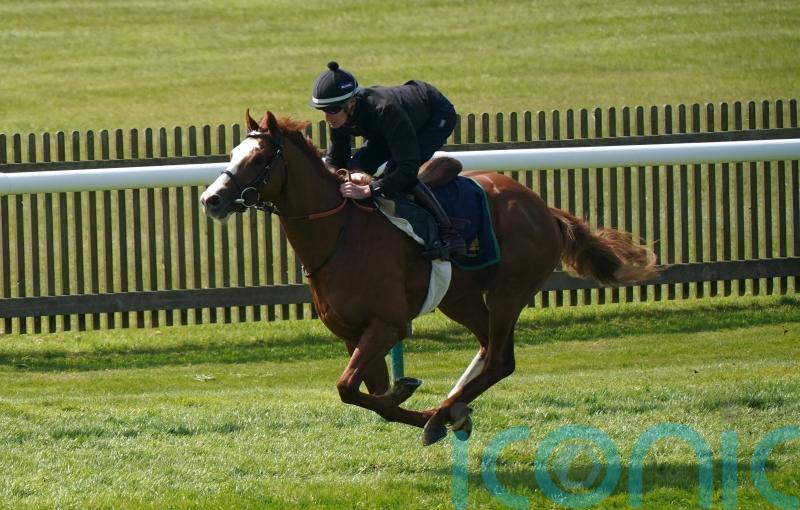 Fractured fetlock rules Dubai Mile out for rest of season