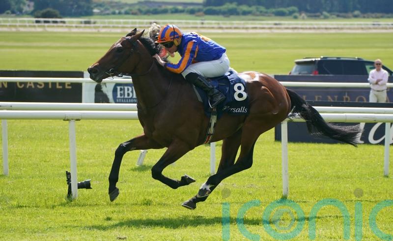 Paddington the star attraction among Sussex confirmations