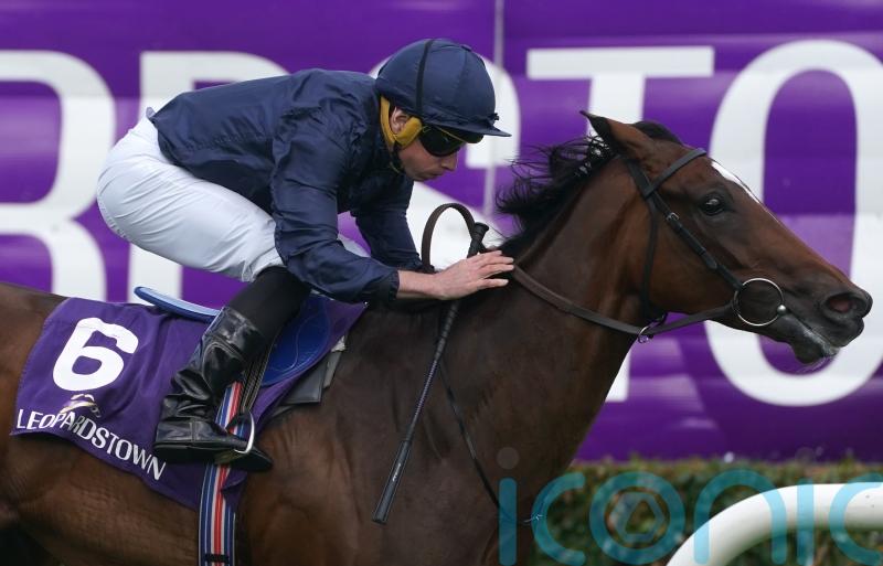 Ylang Ylang strengthens Classic claims with Leopardstown win