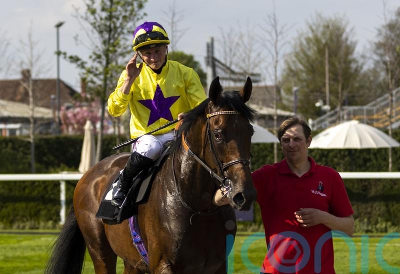 Haggas banking on My Prospero bouncing back to his best