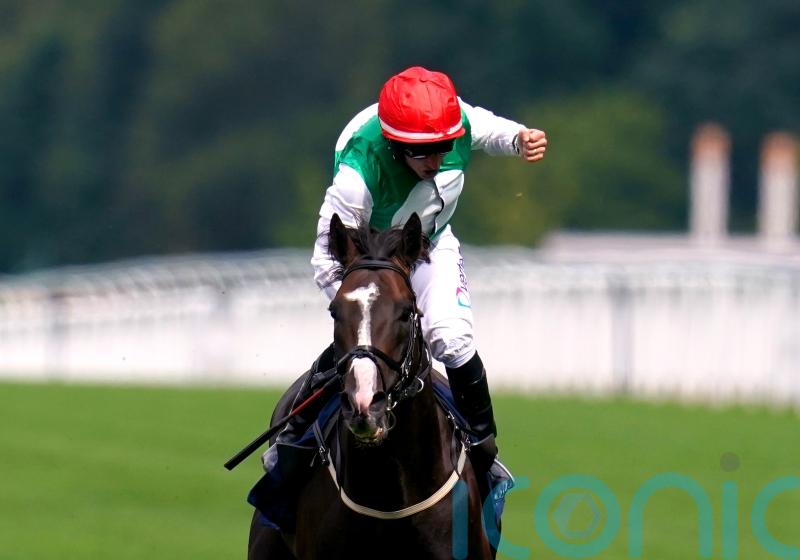 Pyledriver out to join racing greats as a dual King George winner