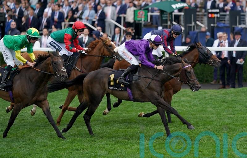 Baradar sparks International celebration at Ascot