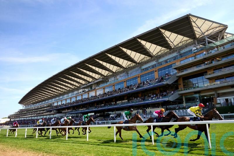 Soft ground could scupper Simca Mille&rsquo;s King George bid