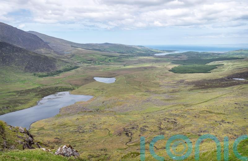 We are interested in buying Conor Pass for a reasonable price, Taoiseach says