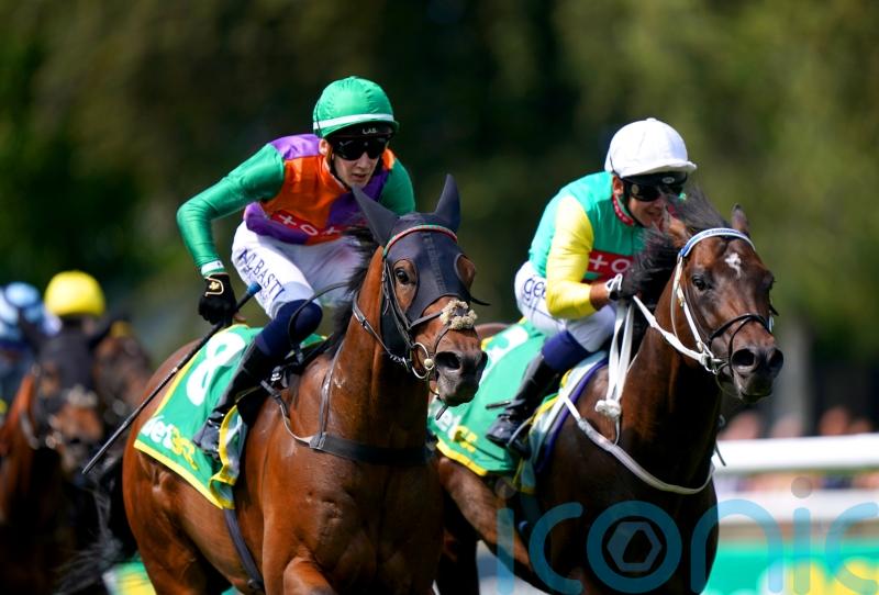 Quinault team eyeing Shergar Cup for seven-timer bid