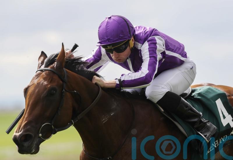 &lsquo;Different class&rsquo; Little Big Bear retired following injury