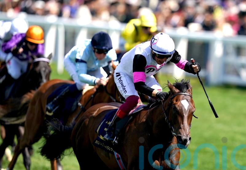 O&rsquo;Brien backing Porta Fortuna to make Phoenix impact