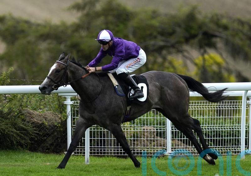 Group-race assignments on the horizon for Ornellaia