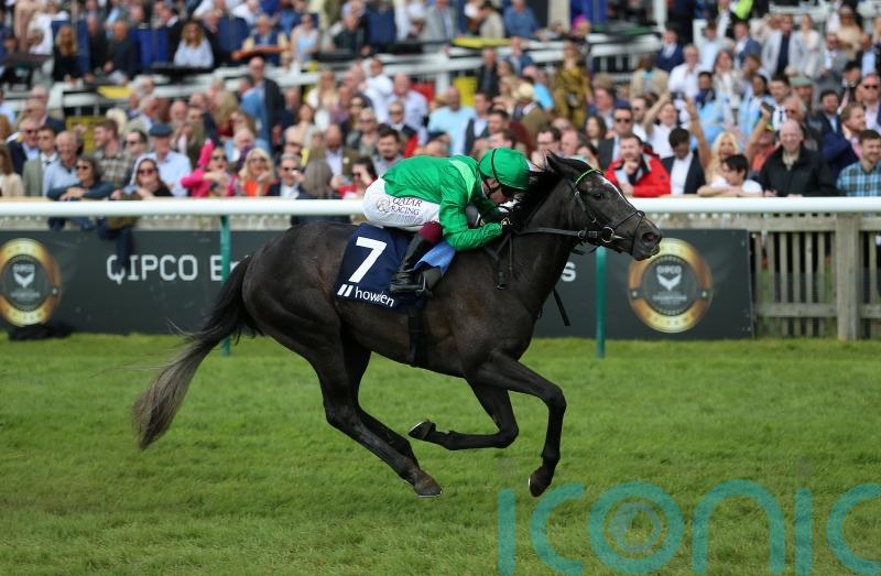 Running Lion aiming to regain winning thread at Salisbury