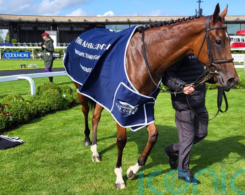 Vespertilio sheds maiden tag with stylish Debutante success