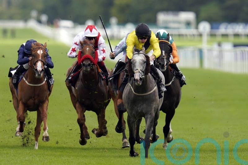 Desperate Hero delights Channons with Newbury win