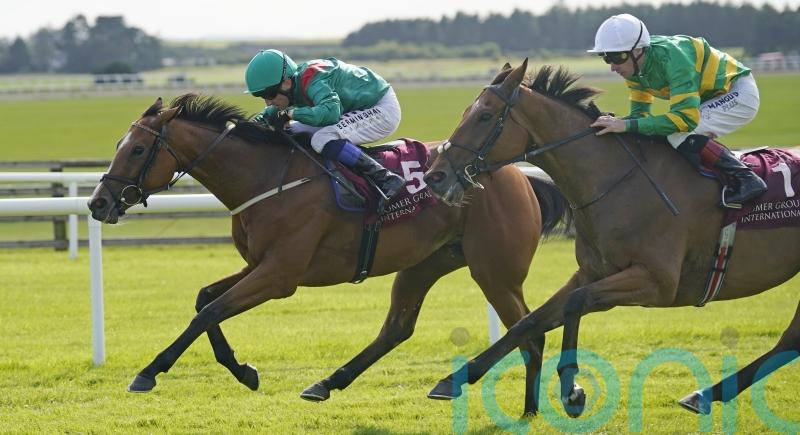 Shamida emerges as a staying filly to follow