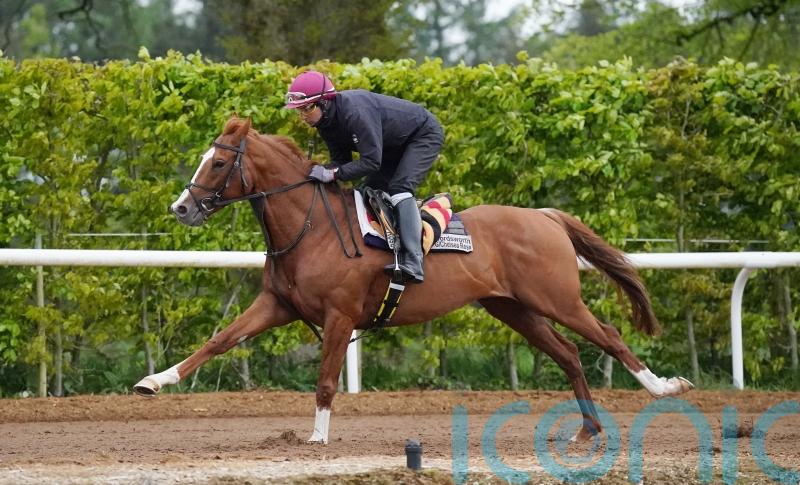 Pipe eyeing Cesarewitch date with new recruit Wordsworth