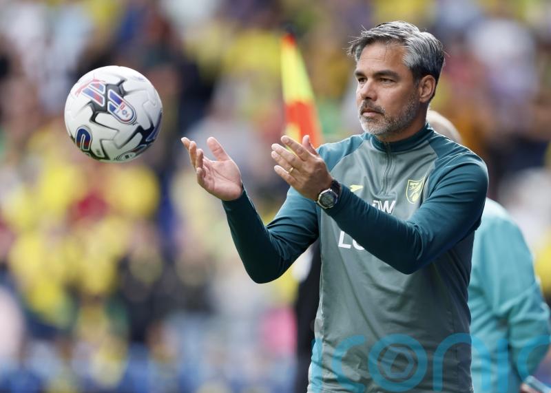 David Wagner proud of &lsquo;mature&rsquo; display from much-changed Norwich