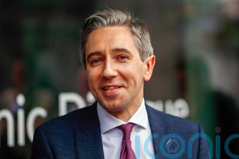 Harris calls for national debate about adding TDs &lsquo;ad nauseum&rsquo;